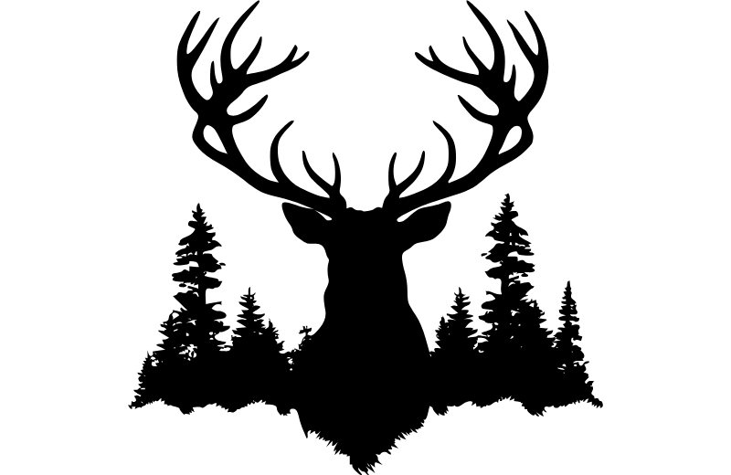 Algiz Rune Origin and Symbolism