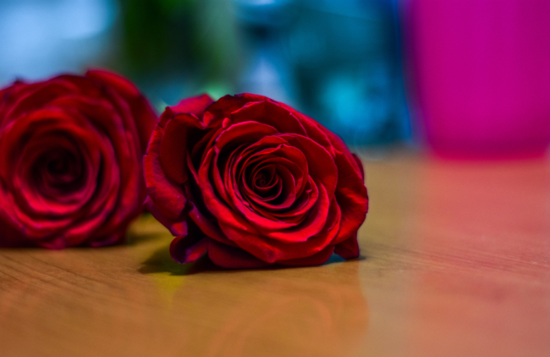 red roses to symbolise romance
