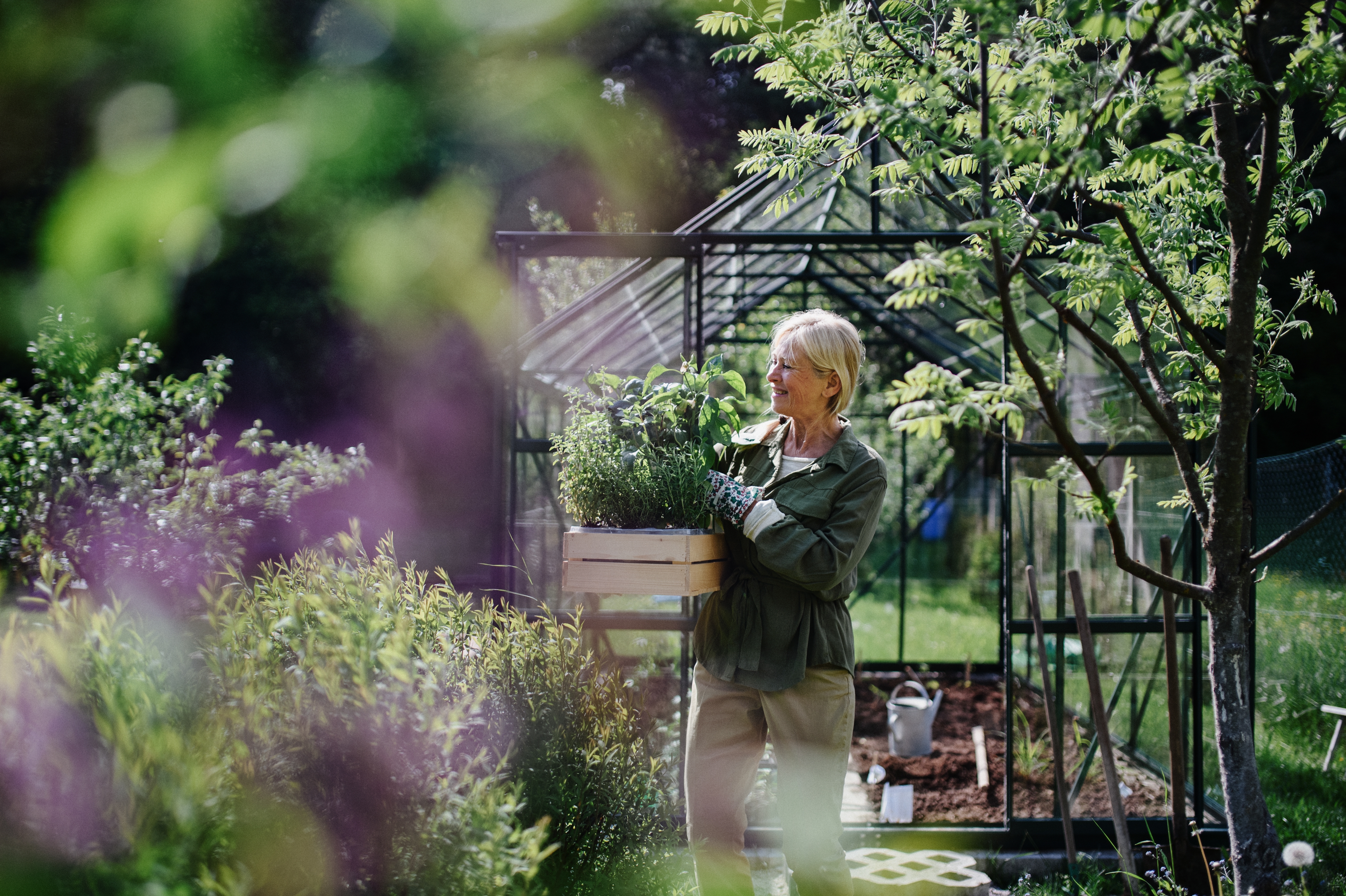 Elderly woman carrying plants out of greenhouse