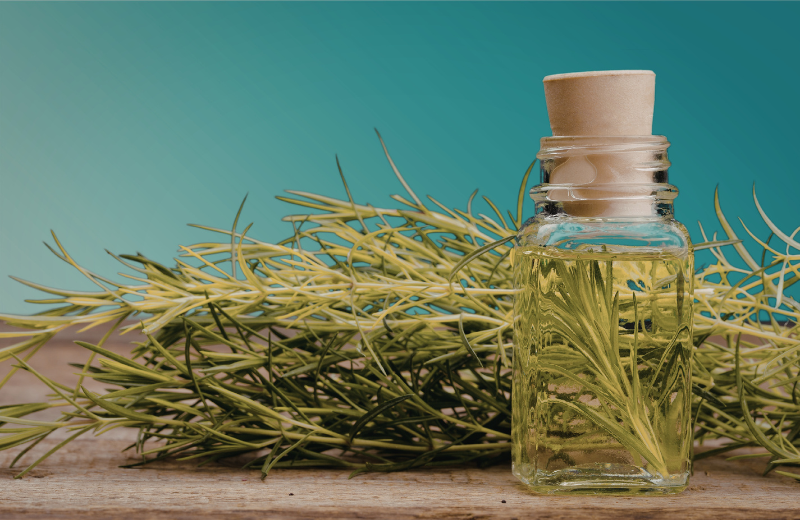 rosemary for luck