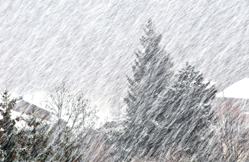 Blizzards