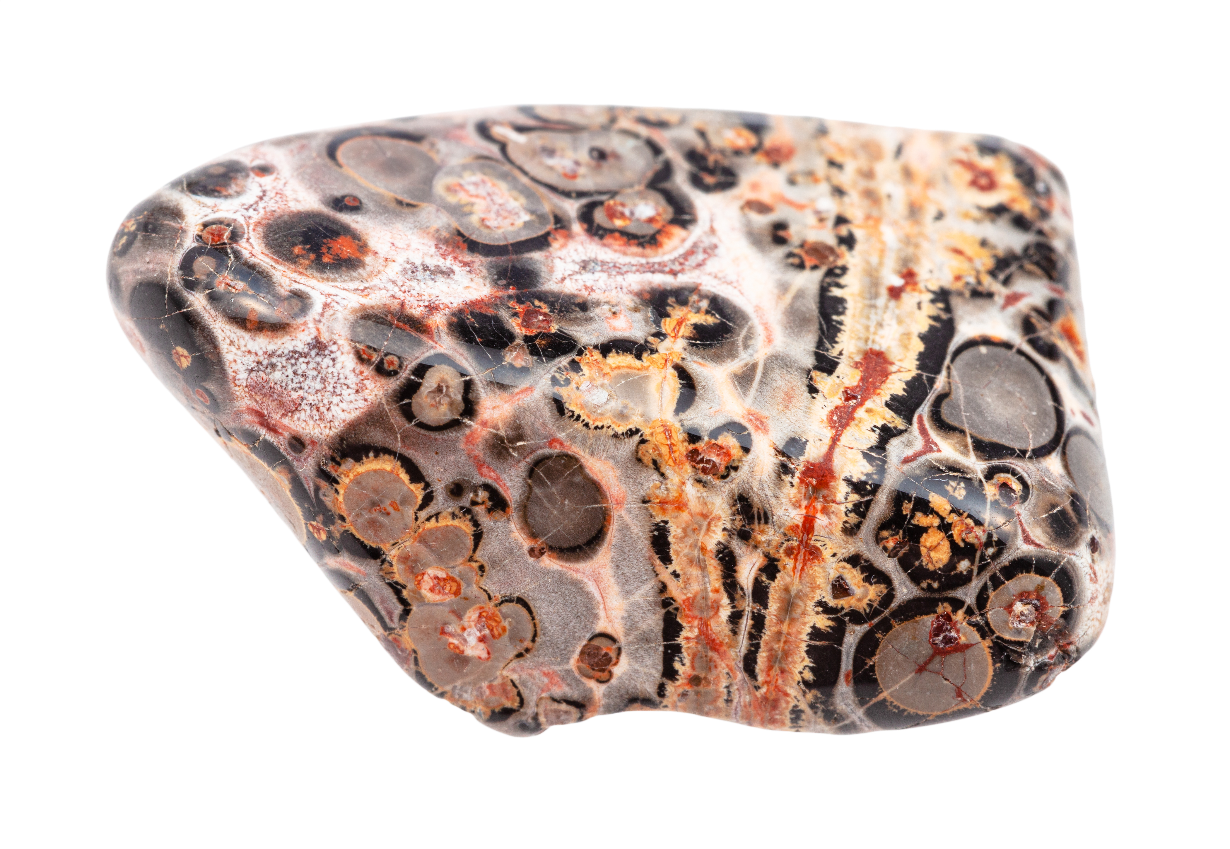 Leopardskin Jasper