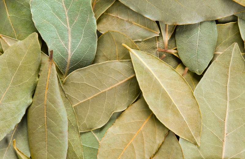 bay leaves for luck