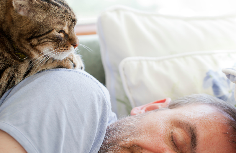 cat sitting on sleeping man