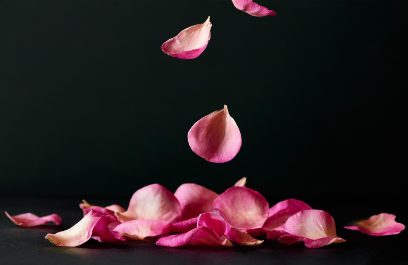 The Symbolism of Rose Petals