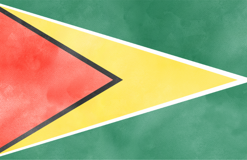 Guyana flag