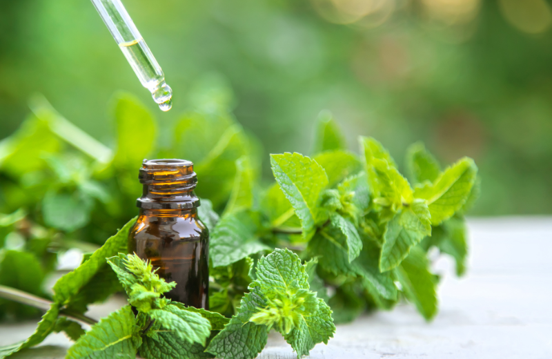 Peppermint Oil for hair health