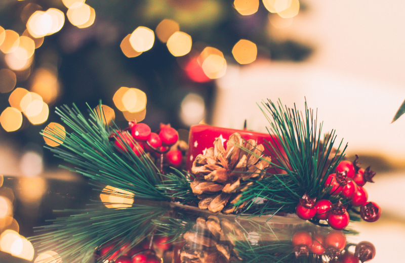 How to Make Christmas Decor from Nature