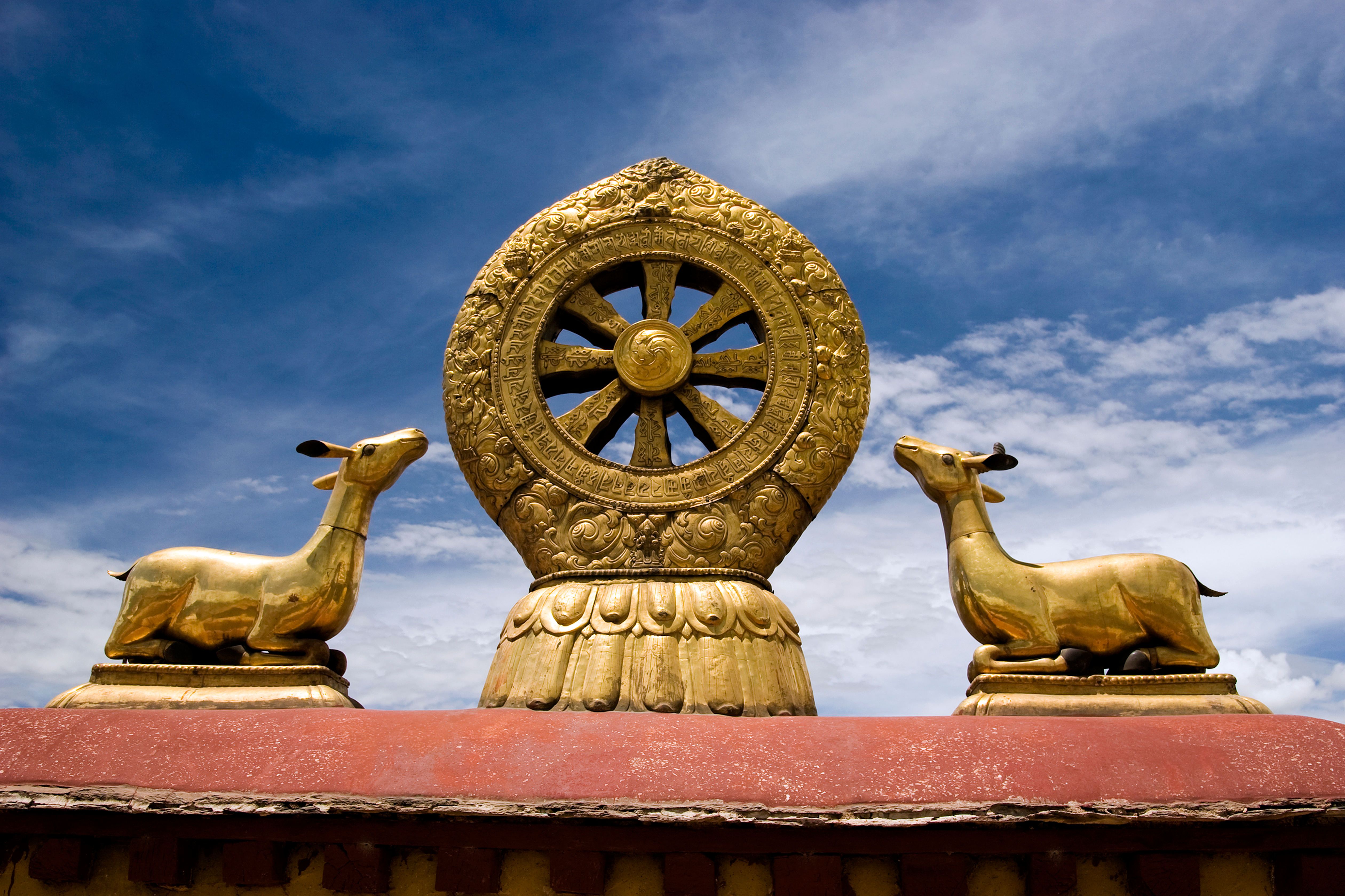 The Wheel of Dharma