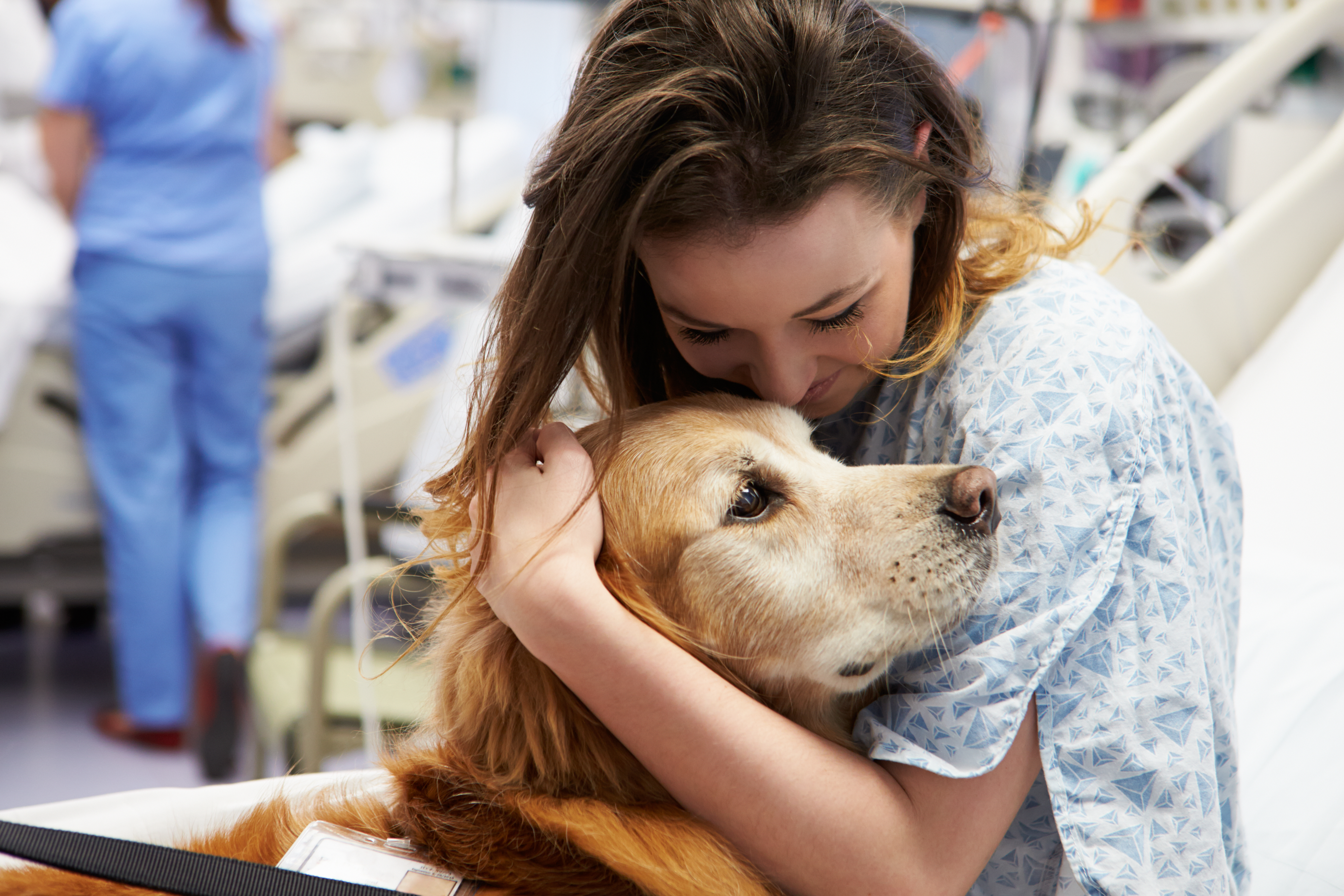 The qualities of a therapy dog