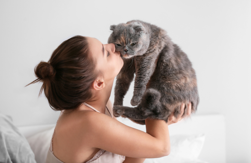 Owner giving their cat affection.