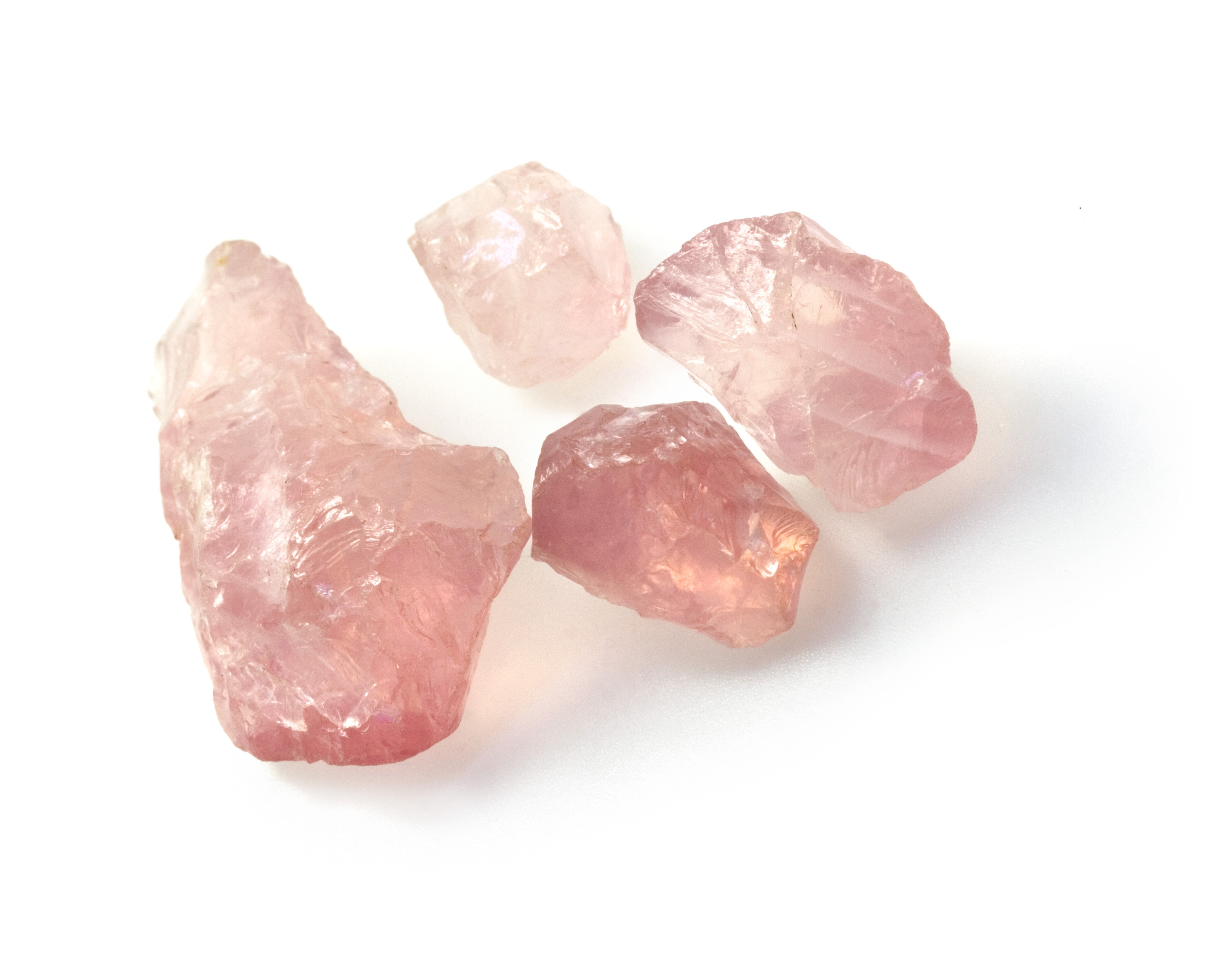 Multiple pieces of Rose Quartz on a white background