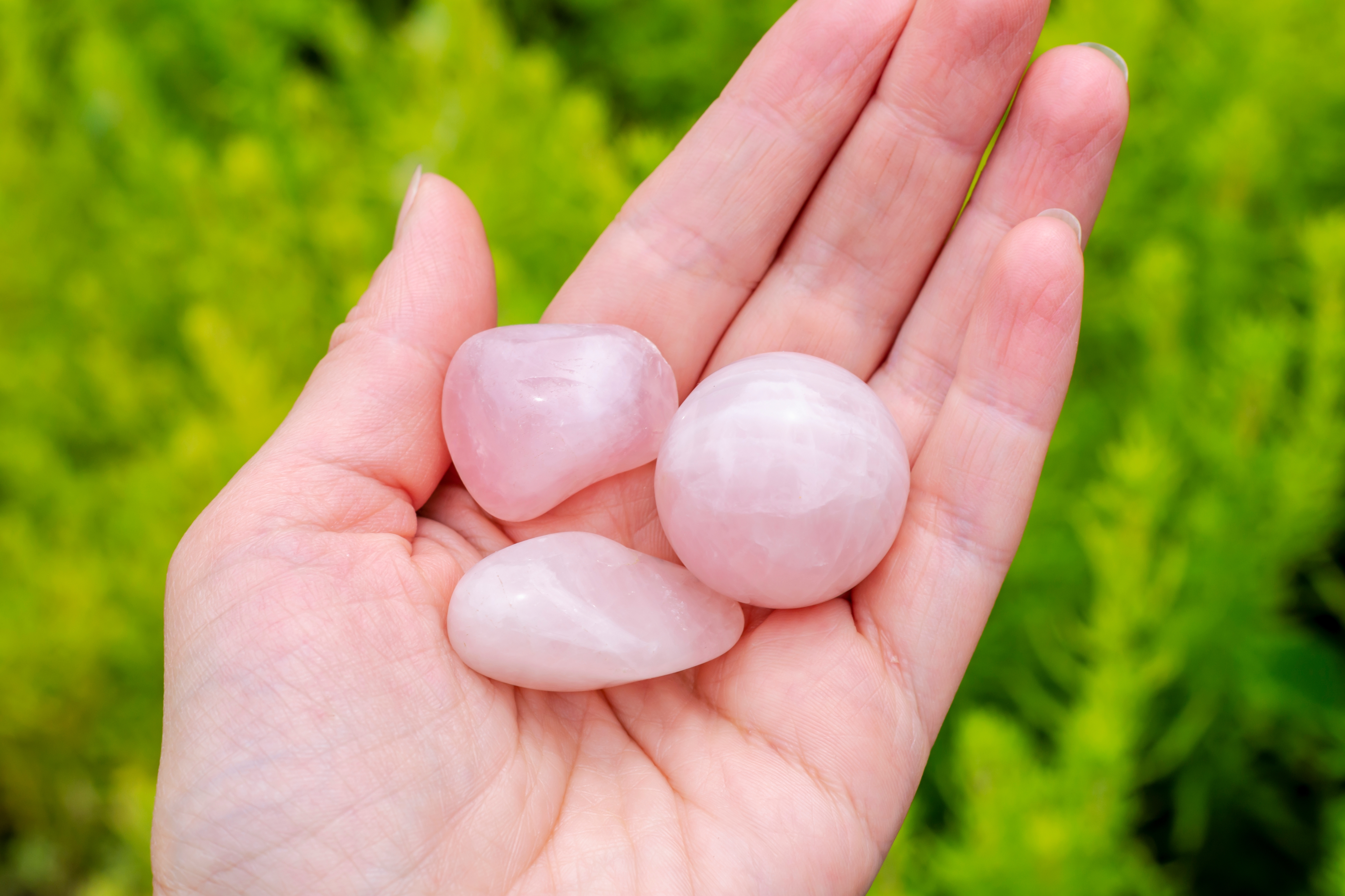 Three different shaped pieces of rose quartz on someones palm
