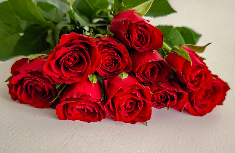 red rose bouquet 