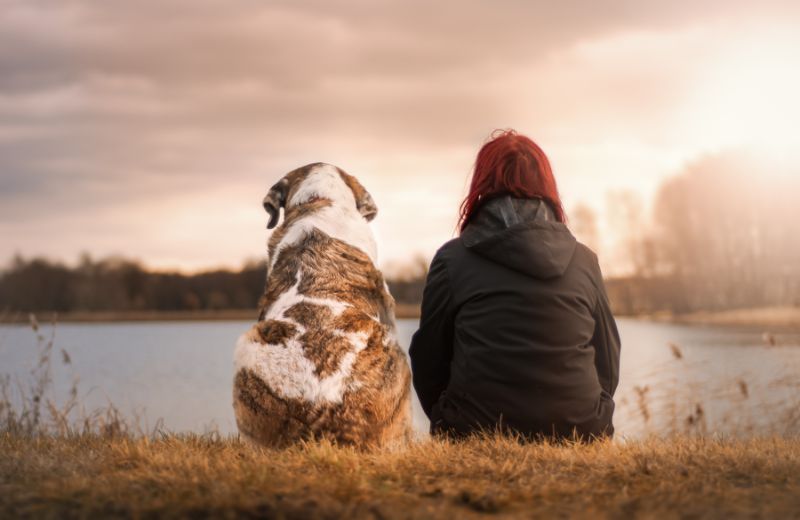 How to Teach a Dog to Whisper Bark