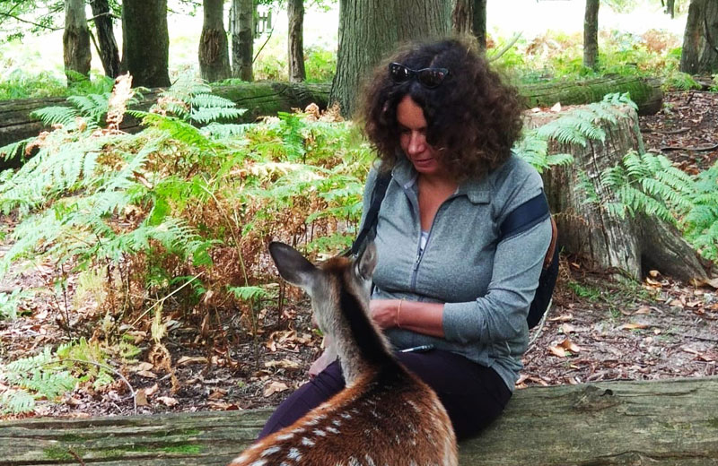 A woman and a deer during a Shinrin Yoku connection