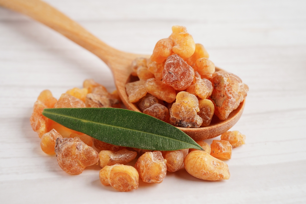 Lots of pieces of Boswellia on a wooden spoon