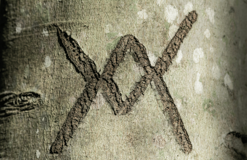Ingwaz rune