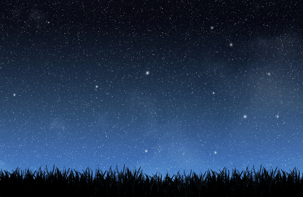 A very starry sky