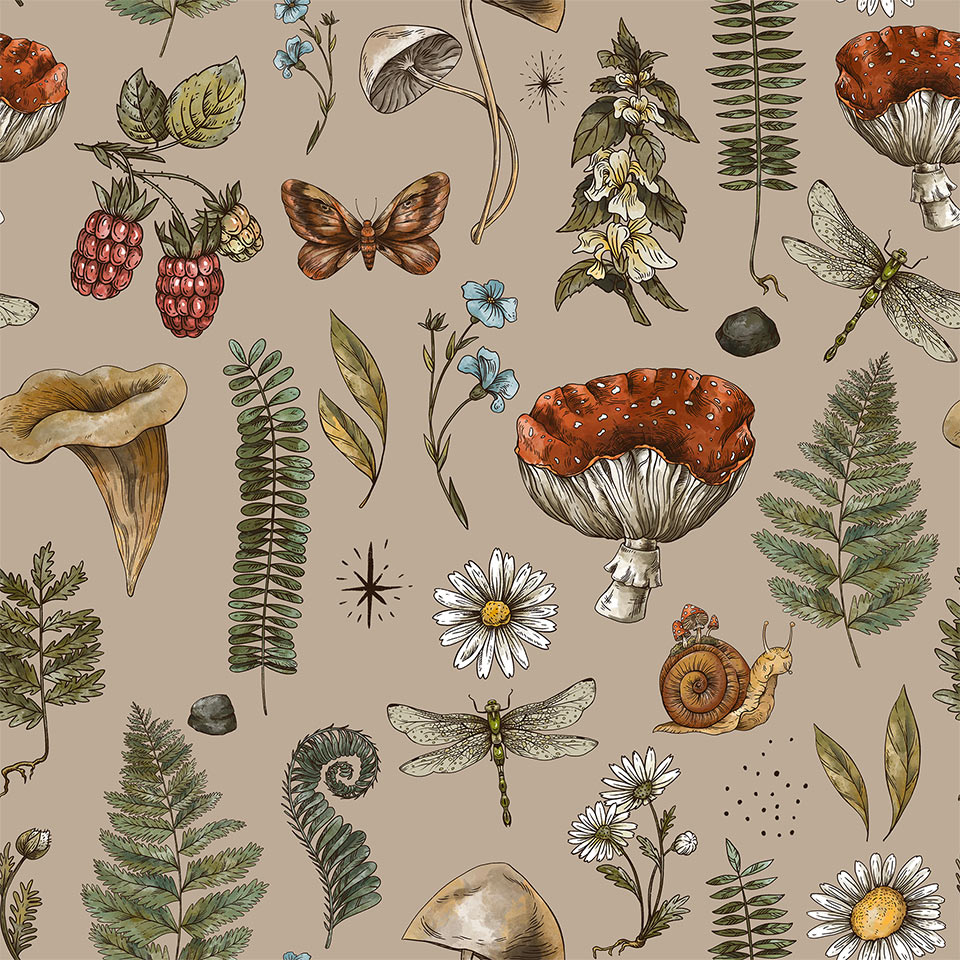 Botanical illustrations of mushrooms, ferns, and forest plants