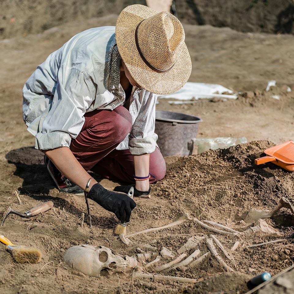 Archeologists excavating human skeleton remains