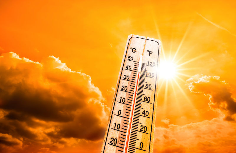 Heatwave
