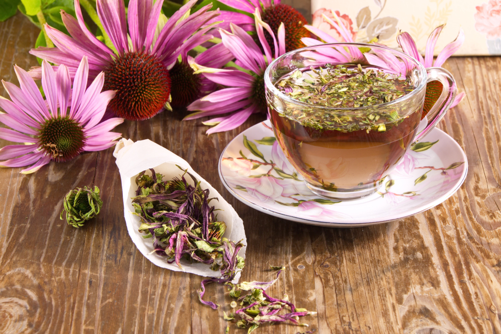 Echinacea Tea health benefits 