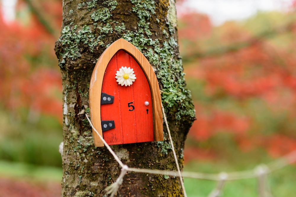 A tiny fairy door on a tree