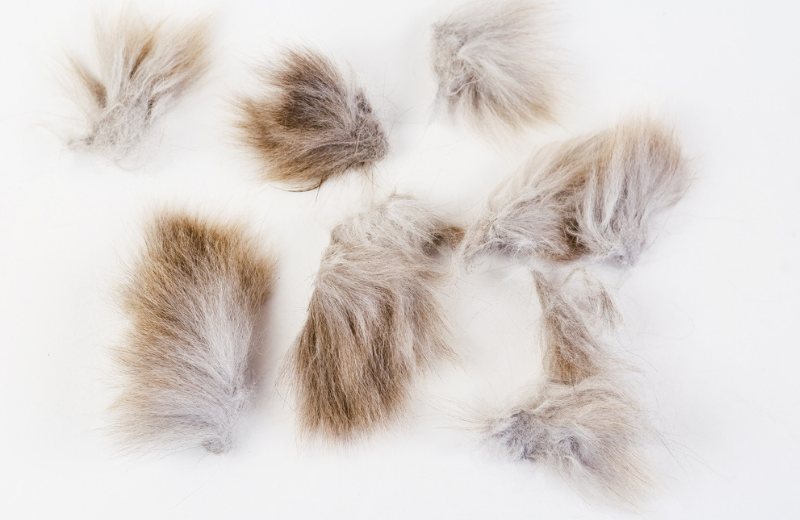 Is Matted Fur Painful for Cats