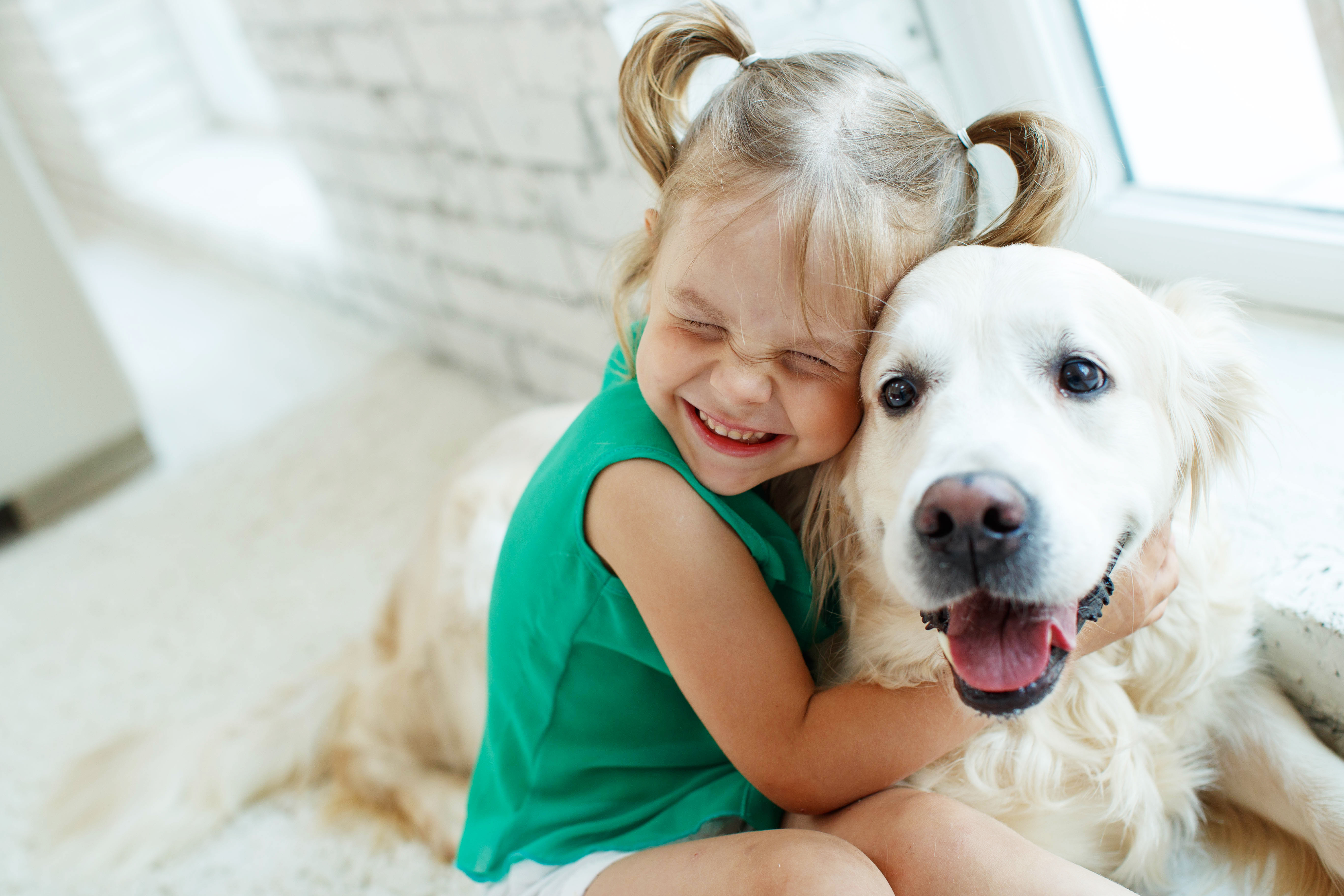 Little girl toddler hugging dog