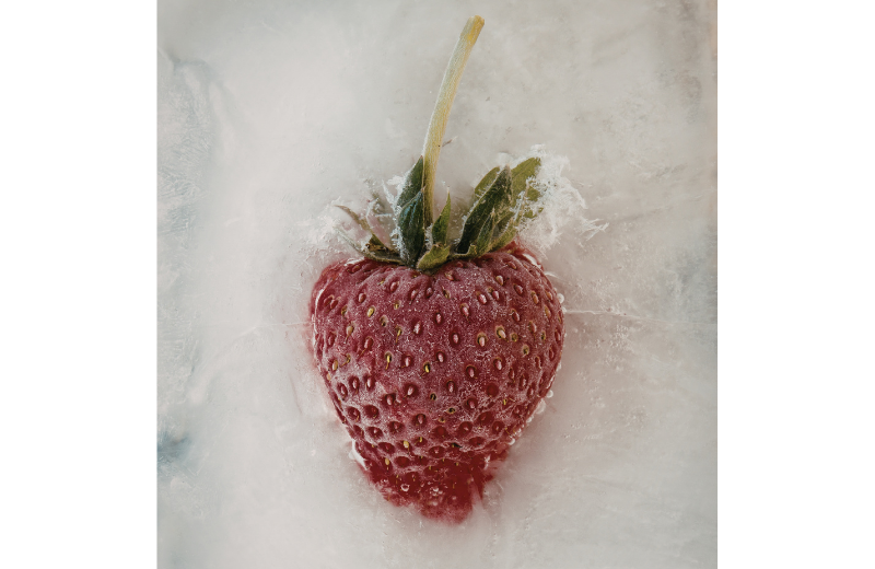 strawberry artwork