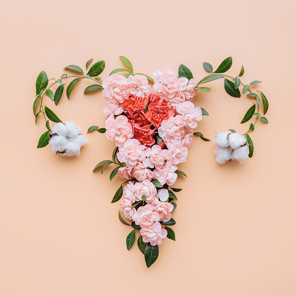 Photograph of a female reproductive system made up of flowers and leaves