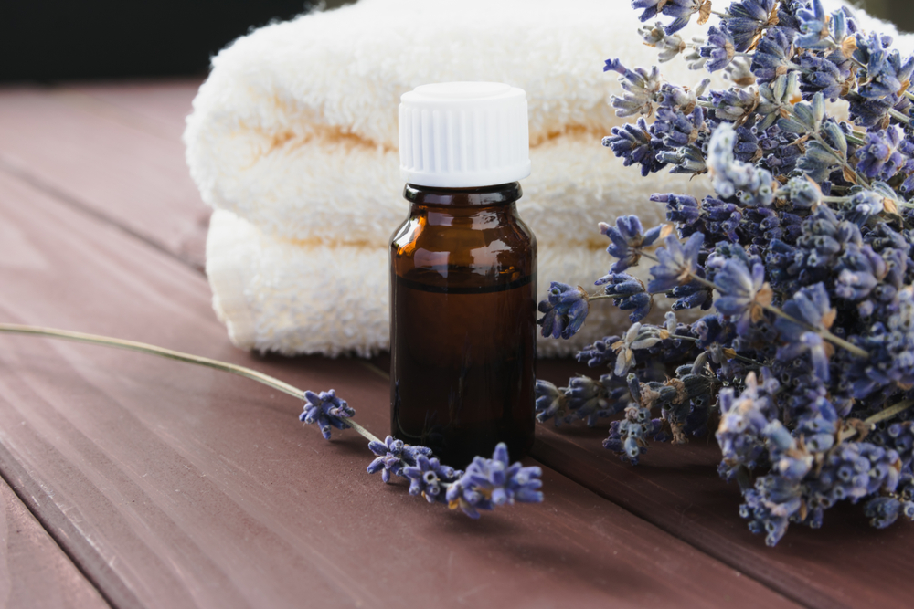 Pieces of lavender and a little bottle of lavender oil