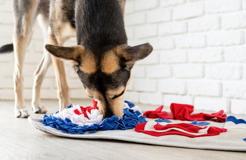 Image of a dog playing with a snuffle mat.