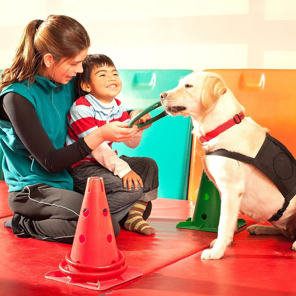 Animal Assisted Therapy Course | Pet Therapy Training Online