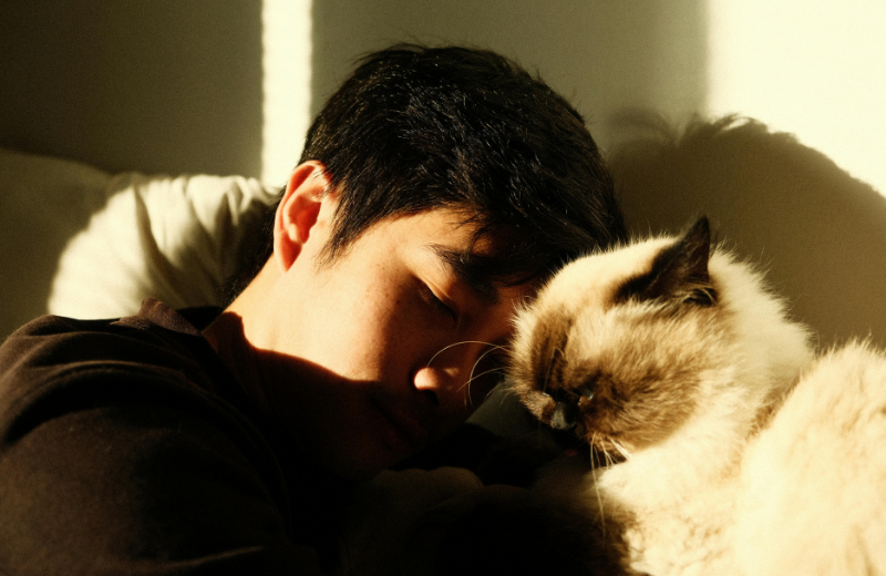 cat and owner napping together