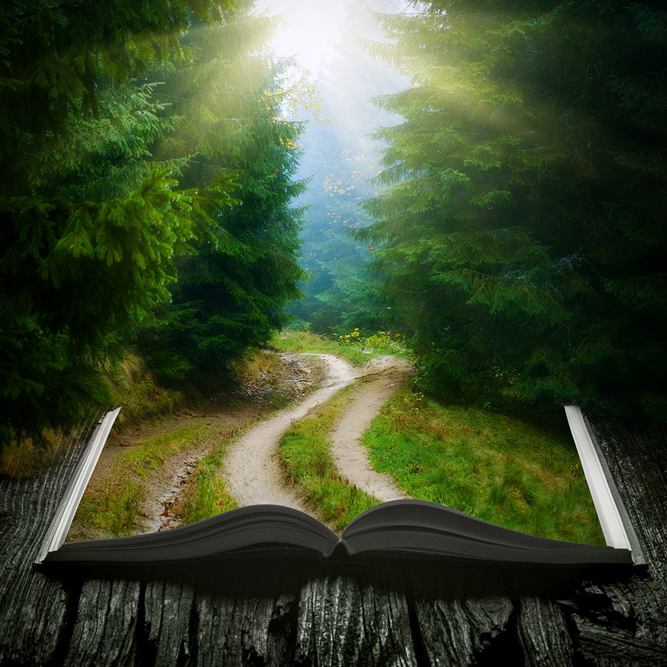 An open book that is merging with a forest