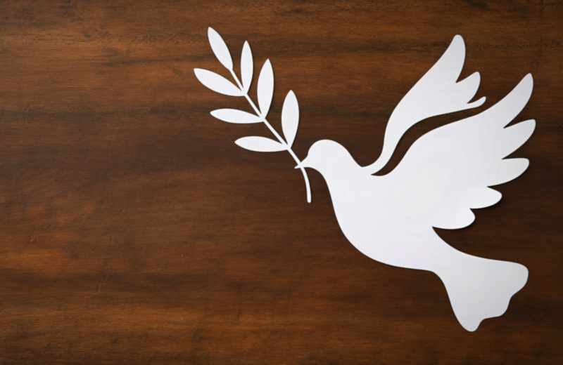 dove carrying olive branch symbol