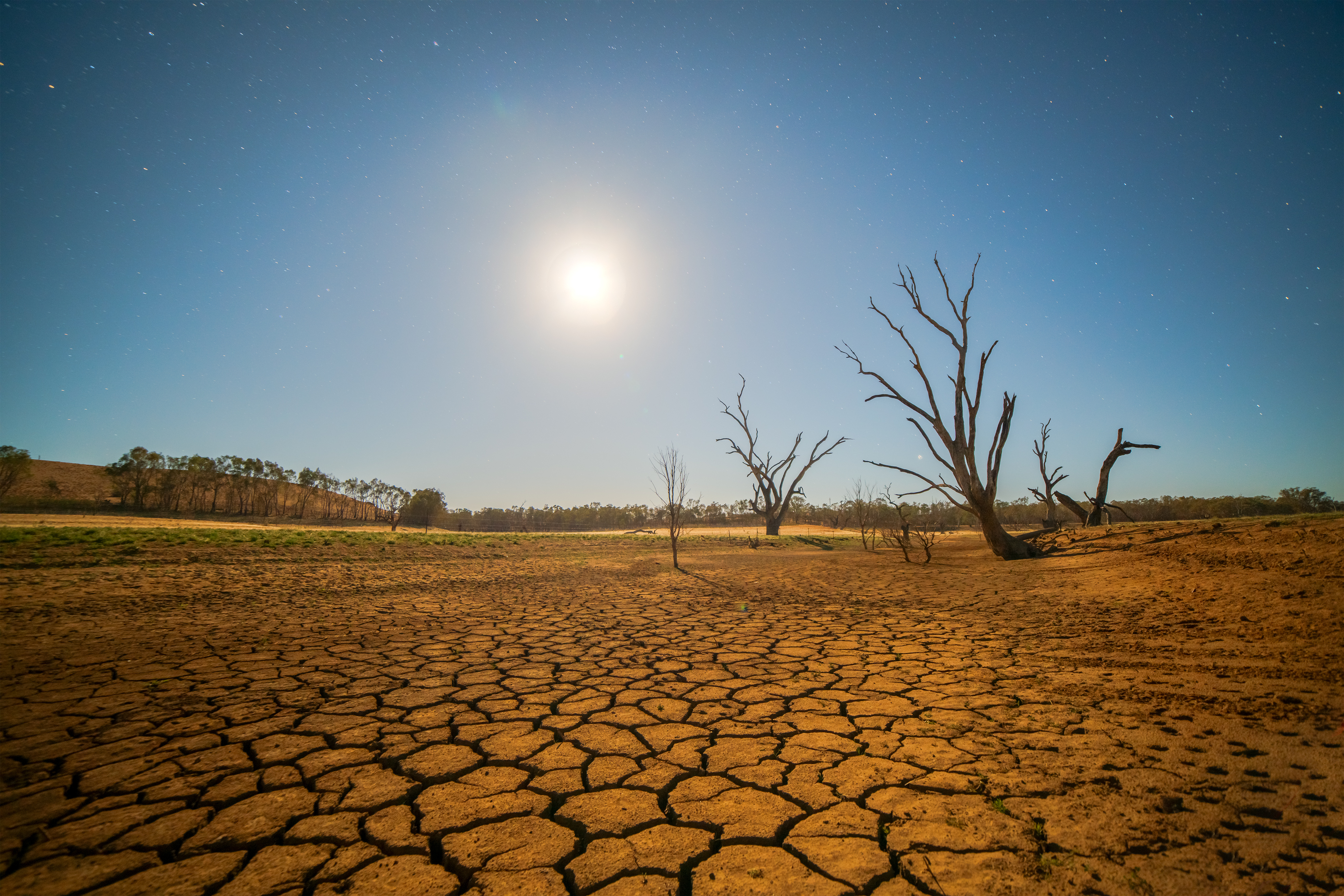Drought in the desert