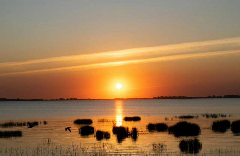 What Is the Sun of May?