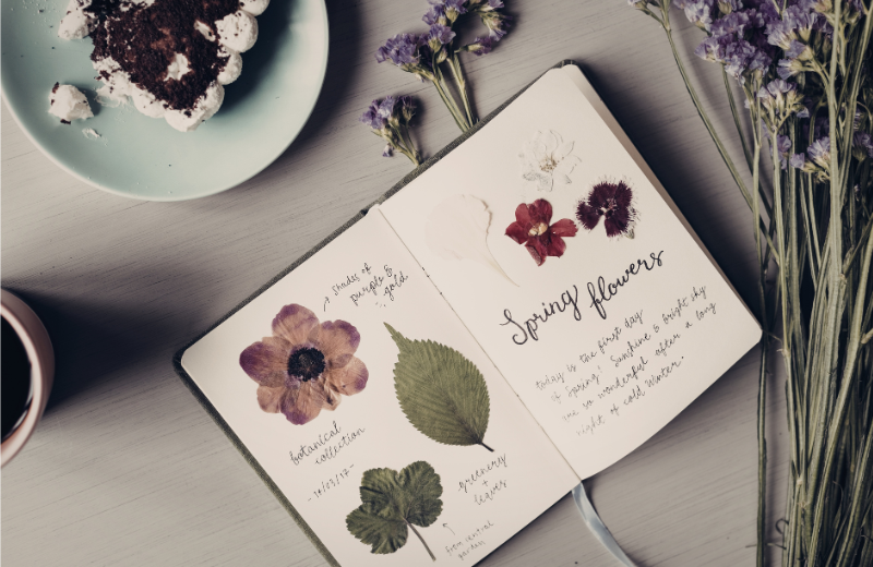 pressed spring flowers in book