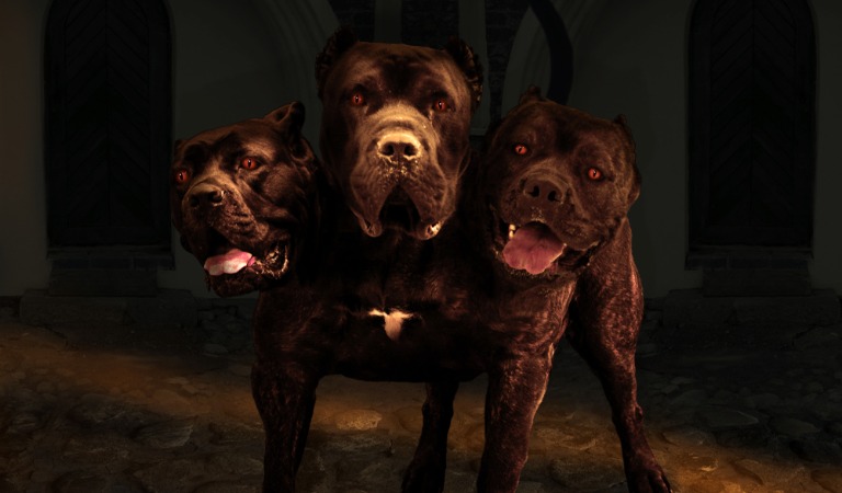 Cerberus