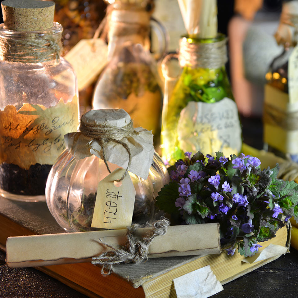 Magical Herbalism Diploma Course