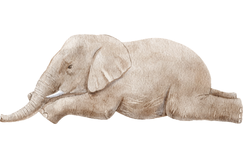 elephant lying down artwork