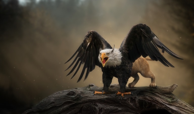 The Griffin