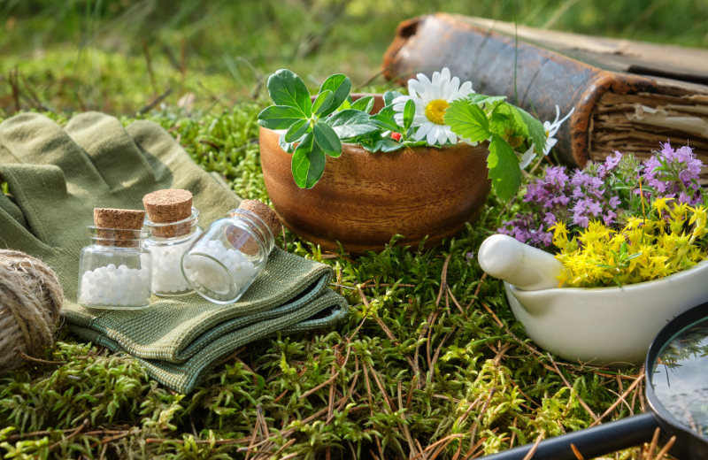 Methods Used by Homeopaths
