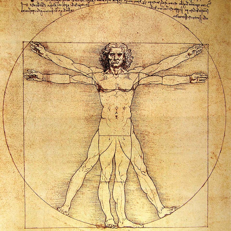 Image of the Vitruvian Man by Leonardo Da Vinci from 1492 on textured background