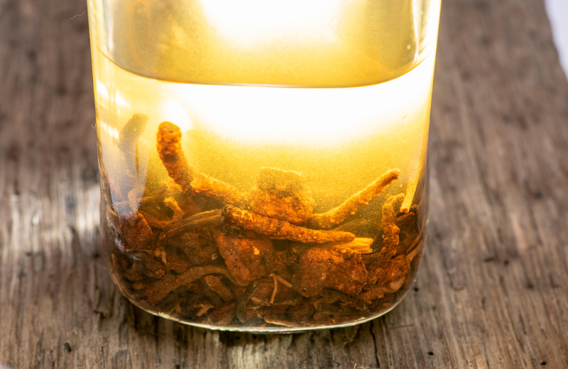 What is the Best Form of Cordyceps to Take?