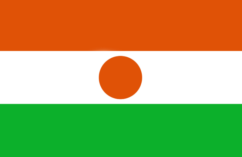 Niger flag