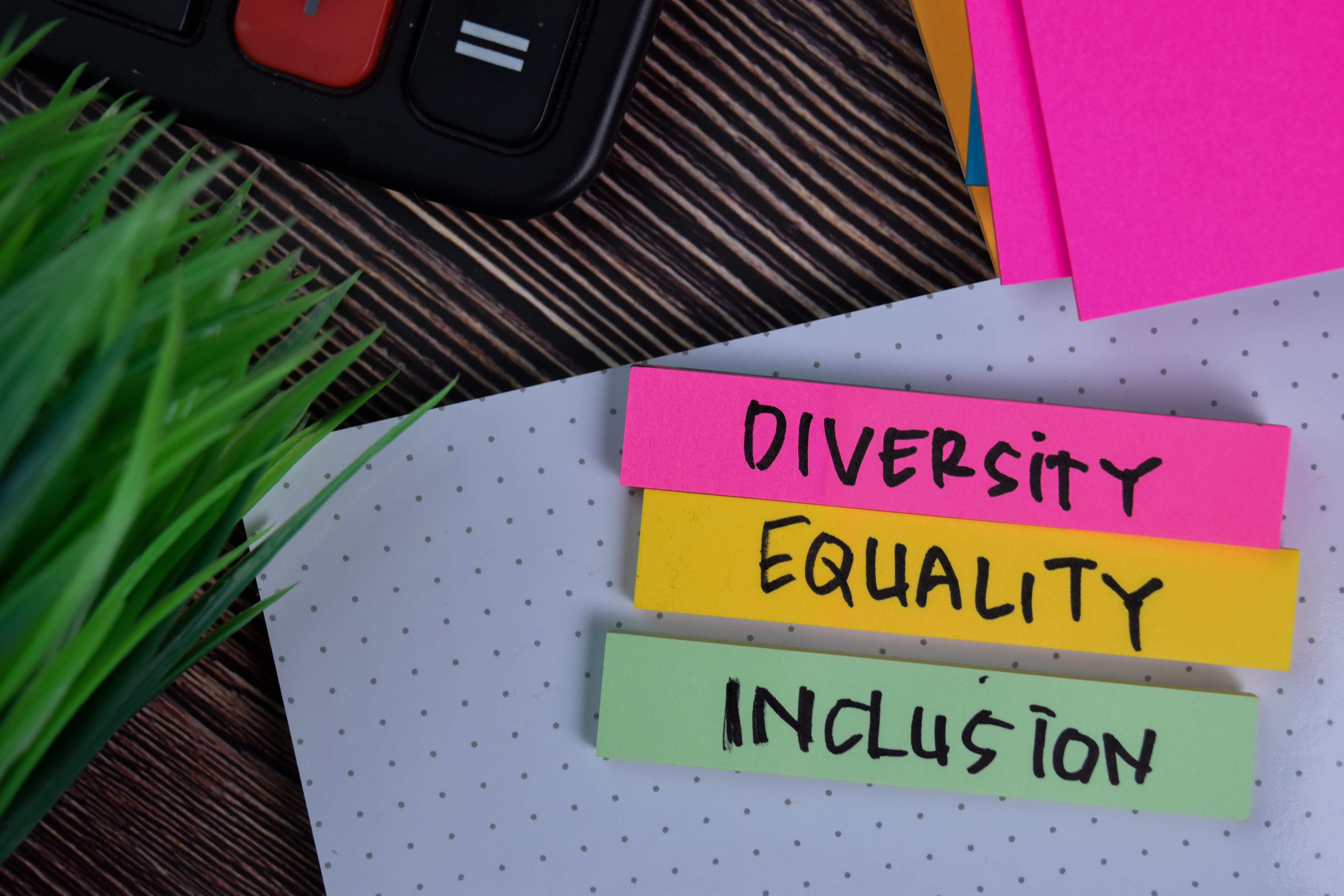 Equality, diversity and inclusion crafts
